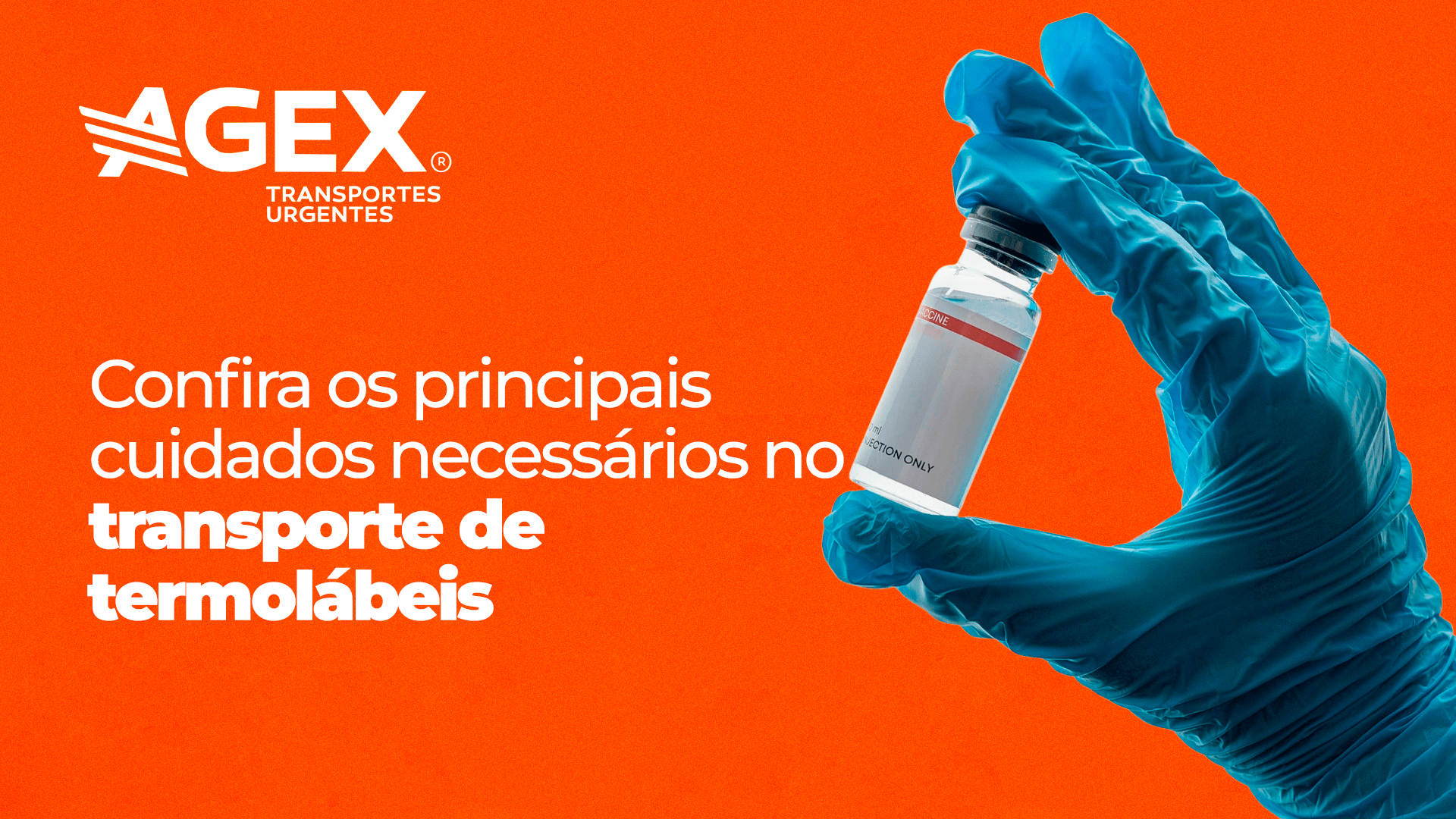 Confira os principais cuidados necessário no transporte de termolábeis